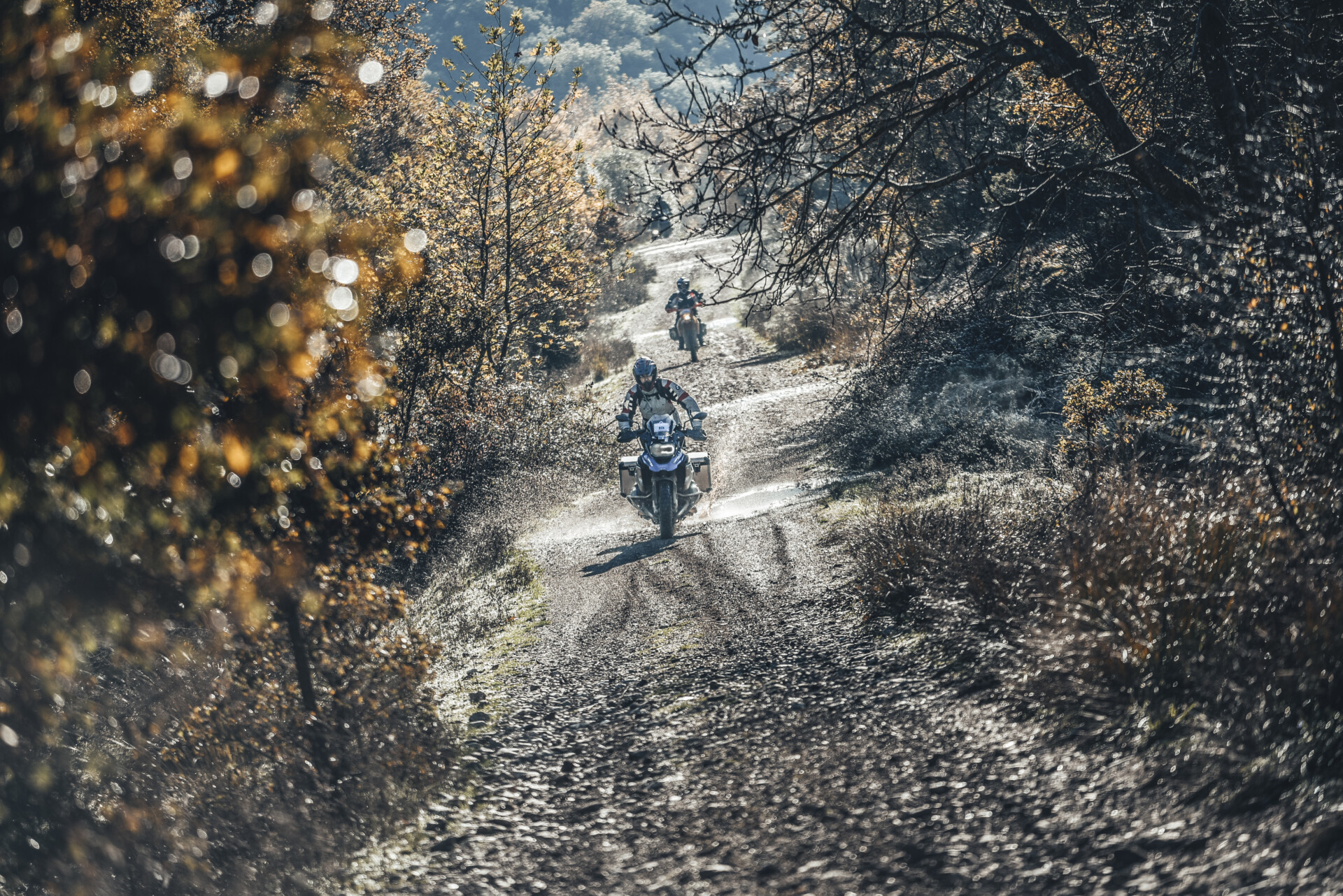 Drei Motorradfahrer auf einer staubigen Schotterstraße in einem herbstlichen Waldgebiet beleuchtet durch das diffuse Licht der tiefstehenden Sonne, welches glitzernde Lichtflecken durch die Blätter wirft.